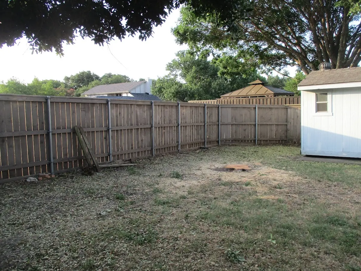 Cleared yard after professional tree removal in Glen Elder
